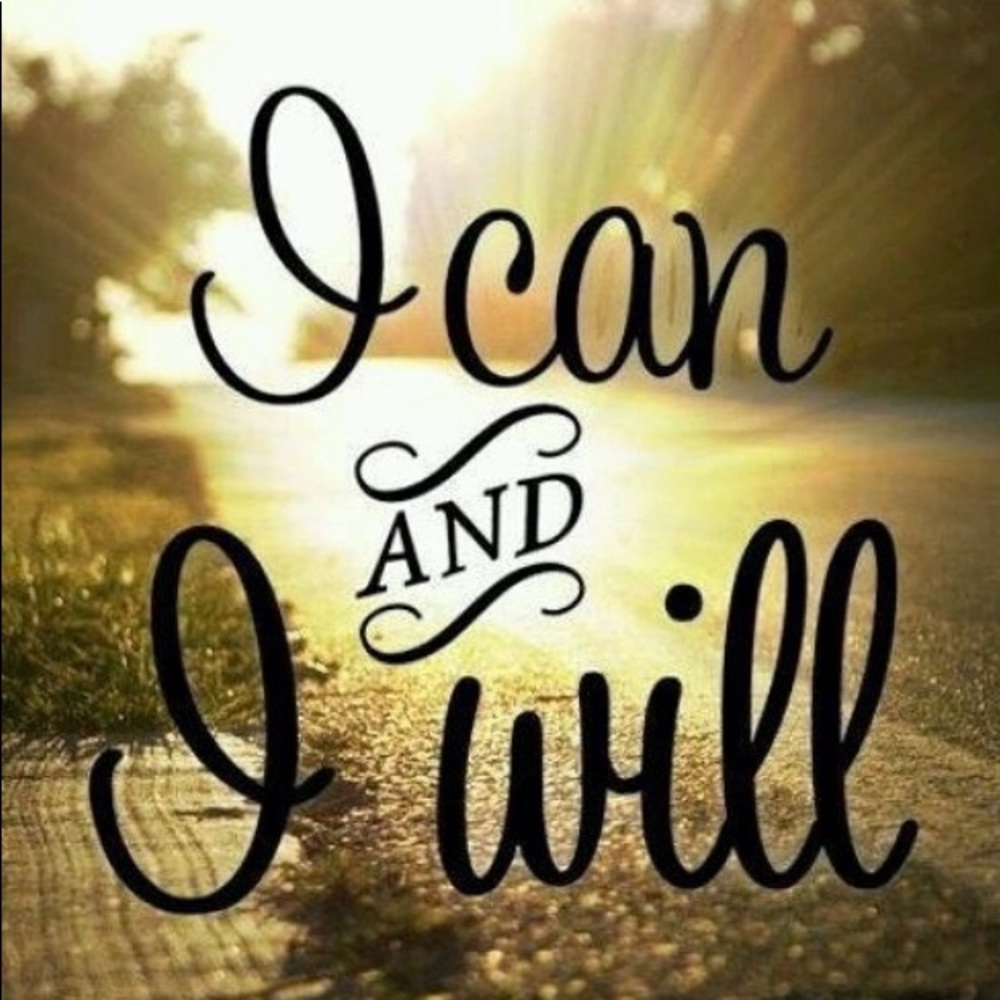 Bcbgmaxazria Runway Corset Organza Dress Sz 4 - Picture 4 of 5